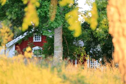 Många får problem om boräntorna höjs