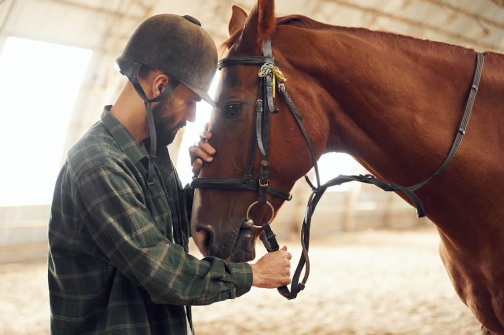 Standing and holding animal. Young man with a horse is in the hangar